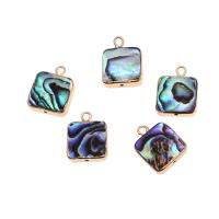 Abalone Shell Pendants, Brass, with Abalone Shell,  Square, 18K imitated gold plated, mixed colors 