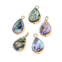 Abalone Shell Pendants, Brass, with Abalone Shell, Teardrop, 18K imitated gold plated, mixed colors 