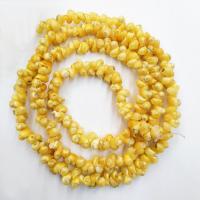 Perla De Concha De Trompeta, Nácar Trompeta, pulido, Bricolaje, amarillo, 3mm, longitud:39 cm, Vendido por Sarta
