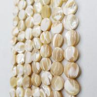 Perles de coquillage jaune naturel, coquille jaune, Plat rond, poli, DIY, beige clair cm, Vendu par brin
