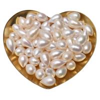 No Hole Cultured Freshwater Pearl Beads, Natural & fashion jewelry & DIY, white, 3-10*12mm 