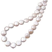 Coin Cultured Freshwater Pearl Beads, Natural & fashion jewelry & DIY, white, 12-13mm .75 Inch 