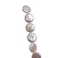 Coin Cultured Freshwater Pearl Beads, Natural & fashion jewelry & DIY, white, 12-13mm .75 Inch 