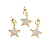 Brass Pendant Bail, with Shell, Star, real gold plated, golden 