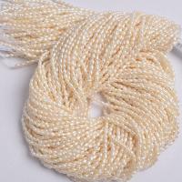 Rice Cultured Freshwater Pearl Beads, Natural & fashion jewelry & DIY, white, 2-2.5mm .96 Inch 