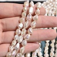 Keshi Cultured Freshwater Pearl Beads, Natural & fashion jewelry & DIY, white, 6-7mm .75 Inch 