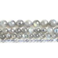Natural Moonstone Beads, Round, polished  grey Approx 14.57 Inch 