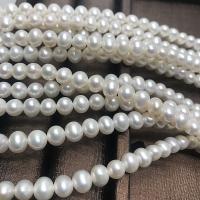 Round Cultured Freshwater Pearl Beads, white, 7-8mm Approx 14.57 Inch 