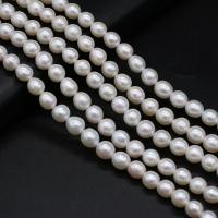 Perlas Keishi Cultivadas de Agua Dulce, Perlas cultivadas de agua dulce, Bricolaje, Blanco, 7-8mm, longitud:36 cm, Vendido por Sarta