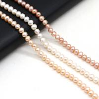 Round Cultured Freshwater Pearl Beads, Keshi, DIY 5-5.5mm cm 