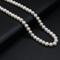 Round Cultured Freshwater Pearl Beads, DIY, white, 6-7mm cm 