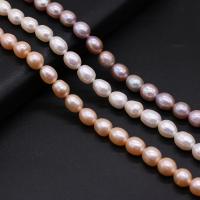 Rice Cultured Freshwater Pearl Beads, DIY 9-10mm cm 