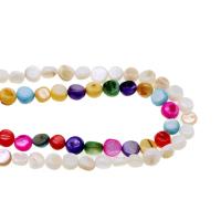perle de coquillage teint, coquille, Rond, DIY, plus de couleurs à choisir, 8mm cm, Vendu par brin