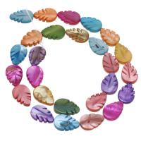 perle de coquillage teint, coquille, feuille, DIY, multicolore cm, Vendu par brin