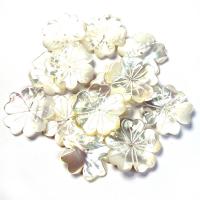 Natural White Shell Beads, Flower, DIY, white 