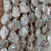 Keshi Cultured Freshwater Pearl Beads, Nuggets, DIY, white, 15x25- 