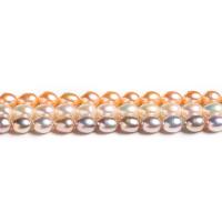 Rice Cultured Freshwater Pearl Beads, Ellipse, polished Approx 13 Inch 