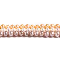 Round Cultured Freshwater Pearl Beads, polished Grade AAA Approx 14.96 Inch 