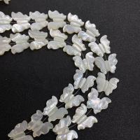 Natural White Shell Beads, Butterfly, DIY, white cm 