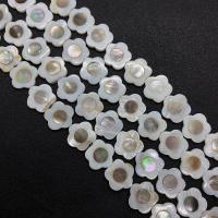 Perles en coquille naturel, coquille blanche, avec coquille noire, Fleur de prunier, DIY, couleurs mélangées, 18mm cm, Vendu par brin