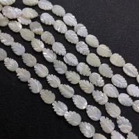 Natural White Shell Beads, White Lip Shell, Leaf, Carved, DIY, white cm 