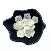 Natural White Shell Beads, Flower, Carved, DIY, white, 20mm 