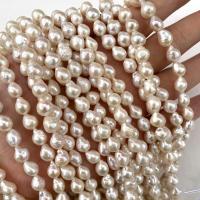 Perles nacres baroques de culture d'eau douce , perle d'eau douce cultivée, DIY, blanc, 8-9mm Environ 15 pouce, Vendu par brin