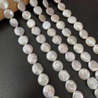 Pièce de culture des perles d'eau douce, perle d'eau douce cultivée, bouton Forme, DIY, blanc, 12-13mm Environ 15 pouce, Vendu par brin