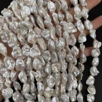 Keshi Cultured Freshwater Pearl Beads, DIY, white, 12x16- Approx 15 Inch 