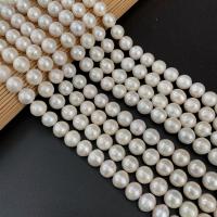 Round Cultured Freshwater Pearl Beads, DIY, white, 10-12mm Approx 15 Inch 