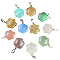 Gemstone ювелирные изделия Кулон, Природный камень, Гексаграмма, различные материалы для выбора & Мужская & граненый, Много цветов для выбора продается PC