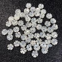 Abalorios de Nácar Blanca Natural, Flor, Bricolaje, Blanco, 10mm, Vendido por UD