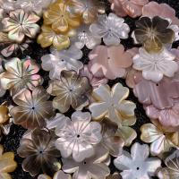 Natural Freshwater Shell Beads, Flower, DIY 10mm 