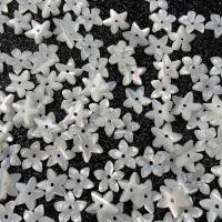 Natural White Shell Beads, Flower, DIY, white, 10mm 