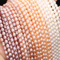 Rice Cultured Freshwater Pearl Beads, irregular, DIY 5-6mm, 54- 