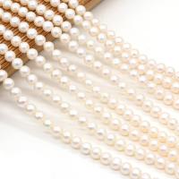 Round Cultured Freshwater Pearl Beads, DIY, white, 7-8mm 