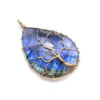 Labradorite Pendants, with Brass, gold color plated, random style, black, 35~55mm 