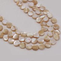 perle de coquillage teint, coquille, Rond, DIY, couleurs mélangées cm, Vendu par brin