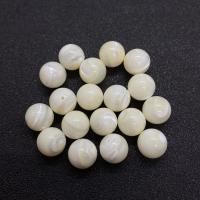 Half Drilled Shell Beads, White Shell, Round, polished, DIY white 