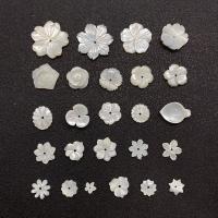 Natural White Shell Beads, Carved, DIY  white 