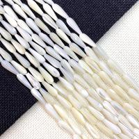 Natural White Shell Beads, Teardrop, DIY white Approx 15 Inch 