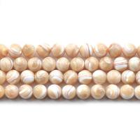 Horseshoe Shell Beads, Round, DIY Approx 38-40 cm 