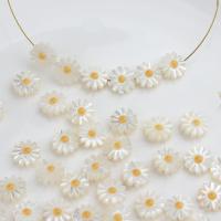 White Lip Shell Beads, Chrysamthemum, fashion jewelry & DIY 