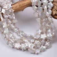 Petites perles cultivées en eau douce, perle d'eau douce cultivée, étoile, Style baroque, blanc, 11-13mm Environ 15 pouce, Vendu par brin
