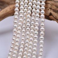 Round Cultured Freshwater Pearl Beads, DIY, white, 7mm Approx 15.7 Inch 