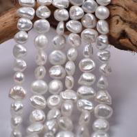 Perles de culture d'eau douce Keishi, perle d'eau douce cultivée, Irrégulière, Style baroque & DIY, blanc, 10mm Environ 15 pouce, Vendu par brin