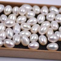 Half Drilled Cultured Freshwater Pearl Beads, Teardrop, DIY & half-drilled, white, 7-8mm 