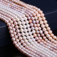 Round Cultured Freshwater Pearl Beads, Potato, DIY 7-8mm Approx 15 Inch 