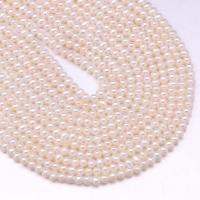 Round Cultured Freshwater Pearl Beads, DIY, white, 4-5mm Approx 13.7 Inch 