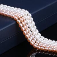 Rice Cultured Freshwater Pearl Beads, DIY 5-6mm Approx 15 Inch 